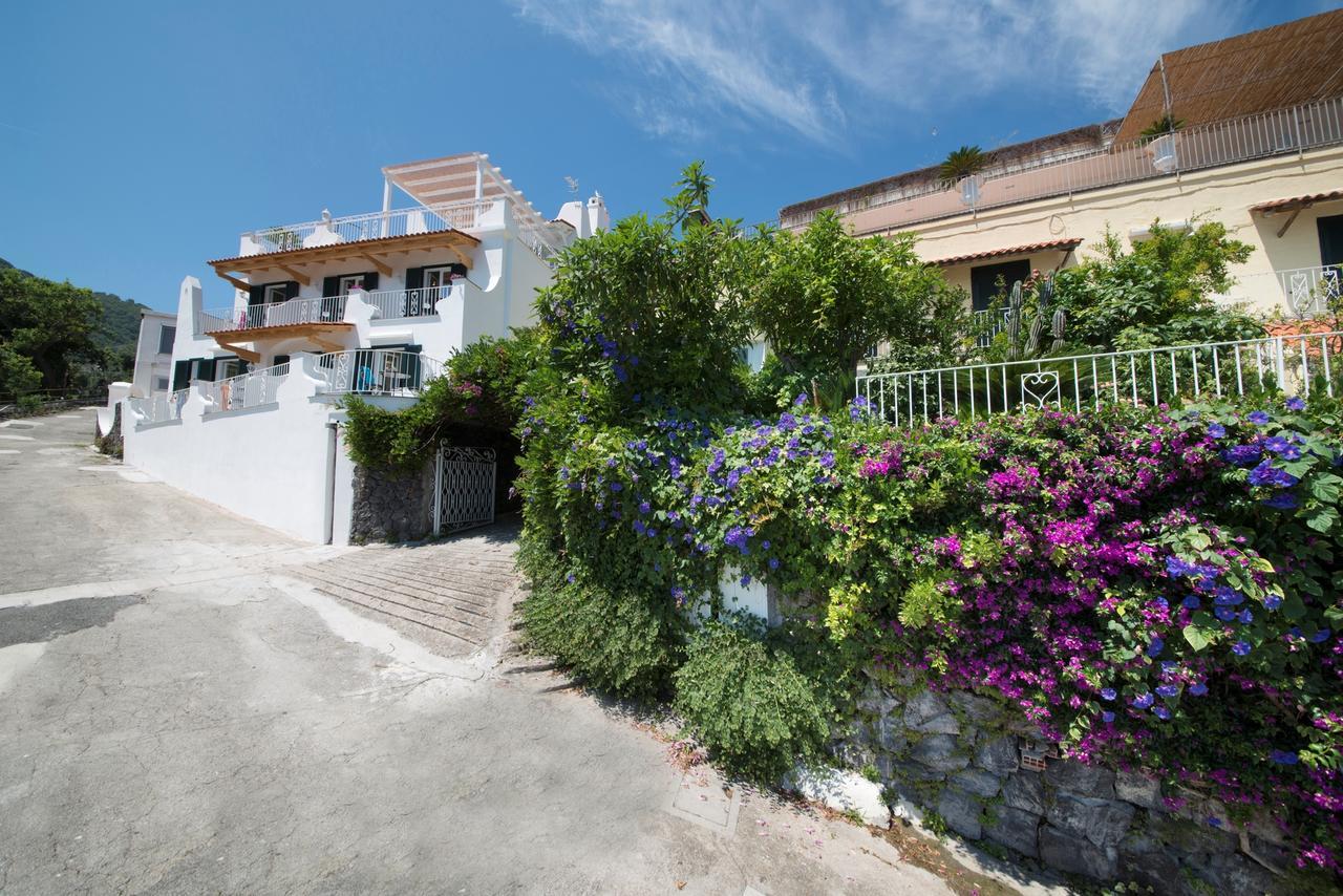 Hotel Giardino Delle Ninfe E La Fenice Isquia Exterior foto